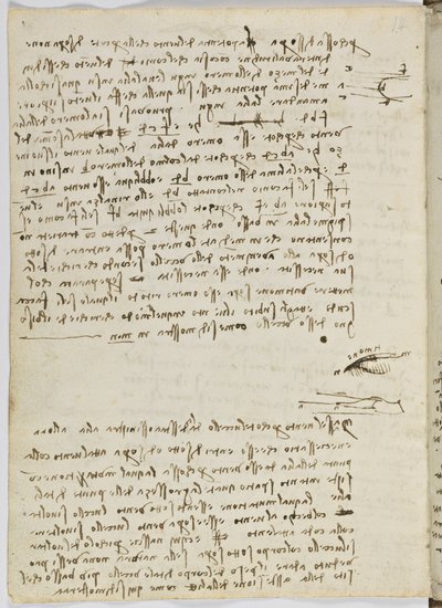 Codice sul volo degli uccelli, c. 1505-06, manoscritto su carta, cc. 18, foglio 9 verso da Leonardo da Vinci